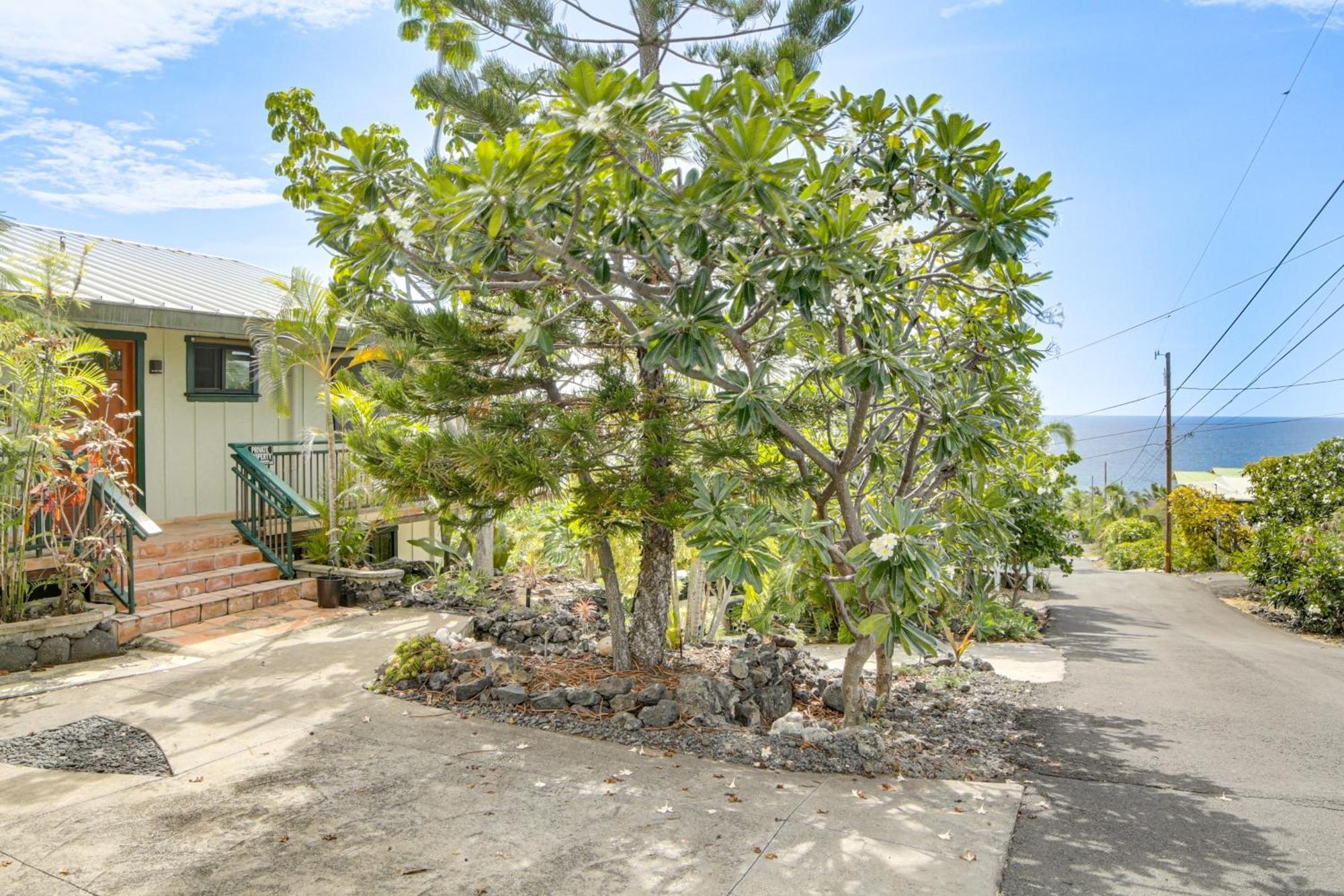Ocean-View Bungalow Walk To Pebbles Beach! Hookena 외부 사진